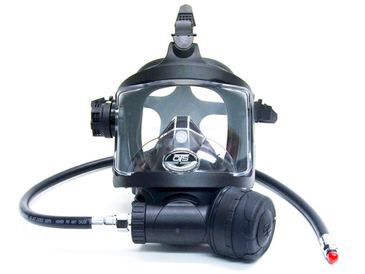 Guardian Full Face Mask